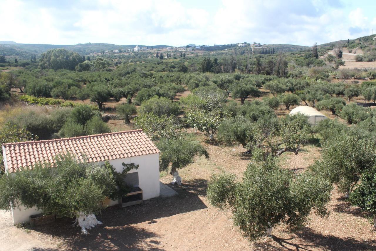 Theofilos Appartements Livadi  Buitenkant foto