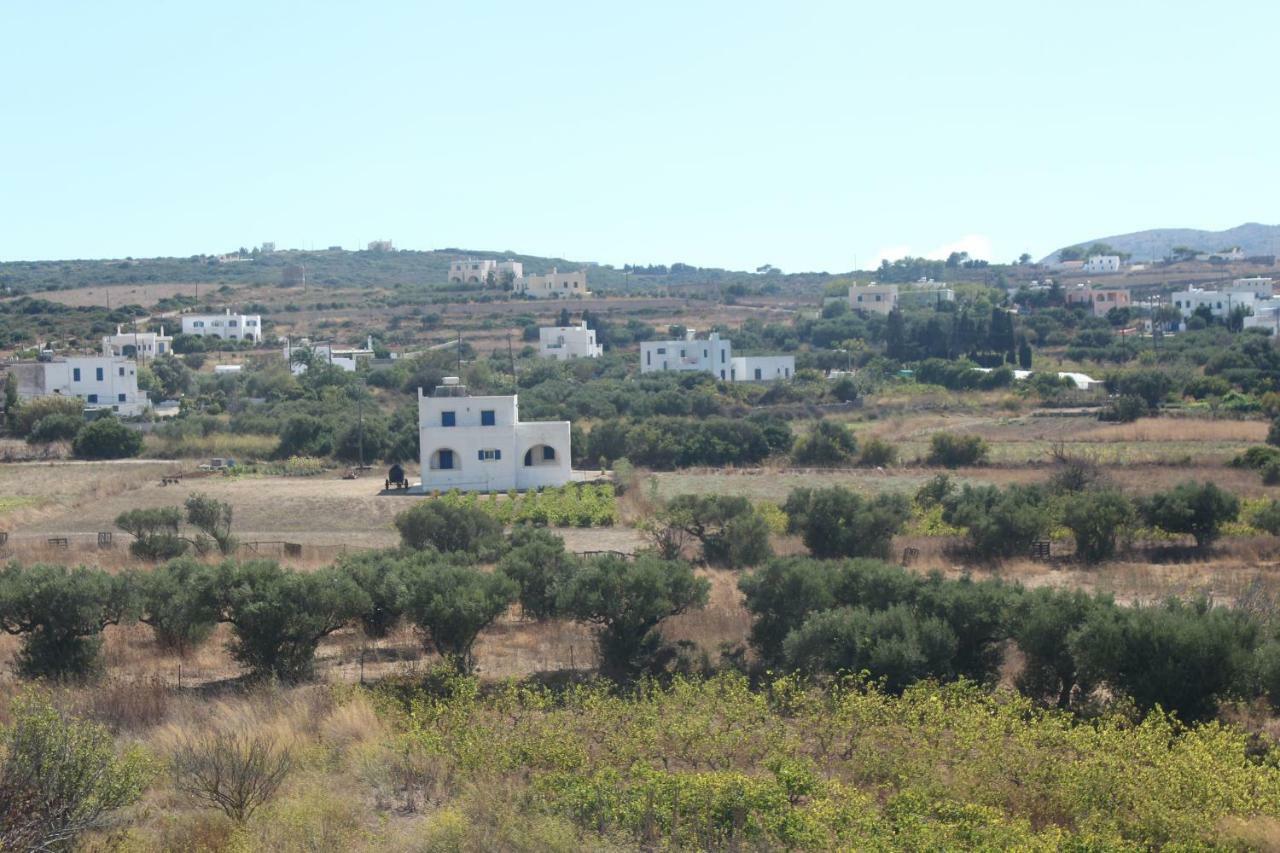 Theofilos Appartements Livadi  Buitenkant foto